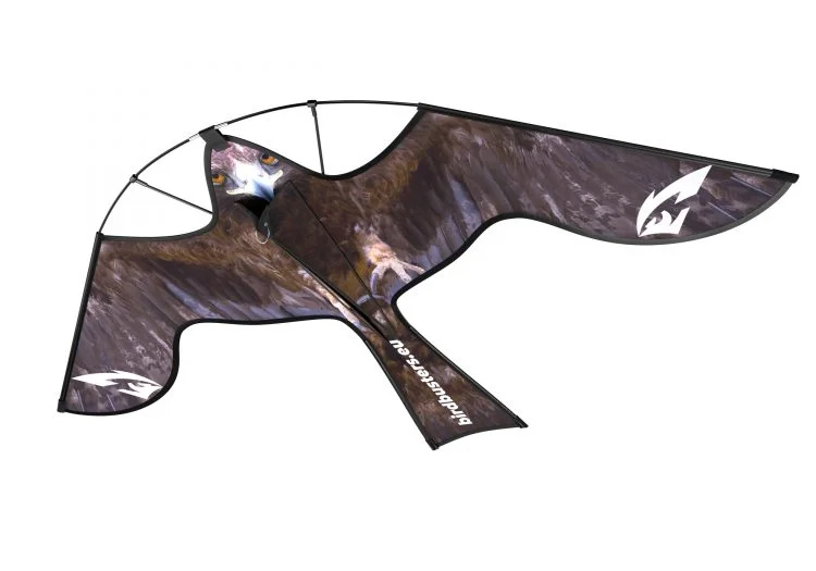birdbusters202609192036072820578