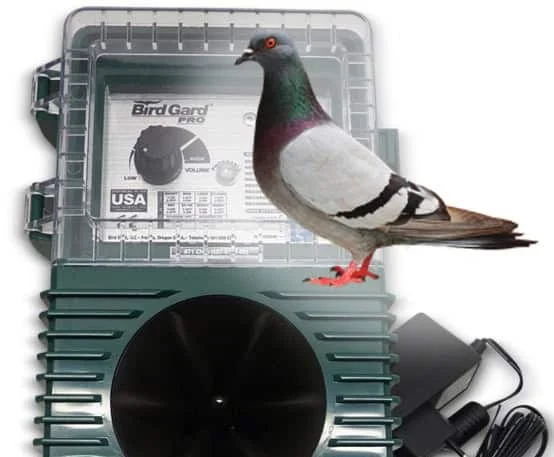 birdbusters202609192037122820899