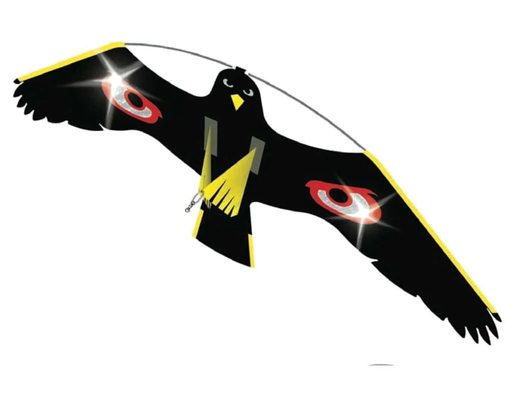 birdbusters202609192037172820927