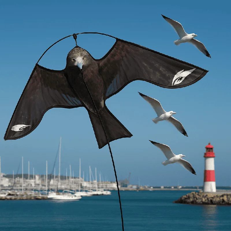 birdbusters202609192037592821134