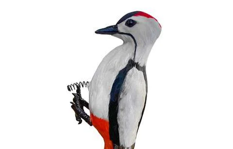 birdbusters202609192038102821183