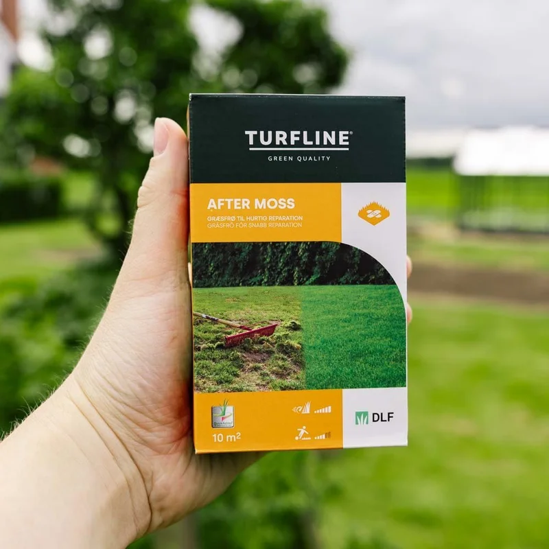 blomea202609301526591090568
