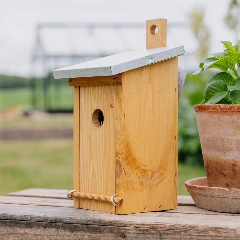 blomea202609301530301091607