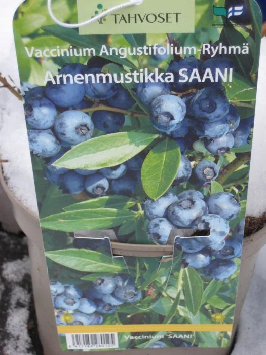 hennanpihaputiikki202609192355282864539
