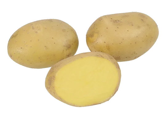 hennanpihaputiikki202609200005242866146