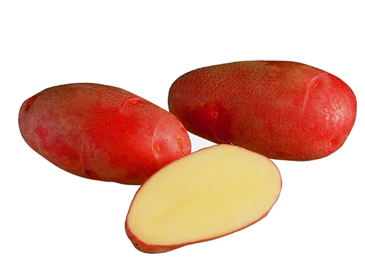 hennanpihaputiikki202609200005272866150