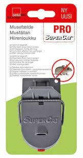 hennanpihaputiikki202609200017022868174