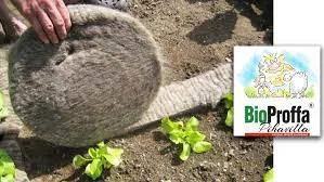 hennanpihaputiikki202609200037462871504