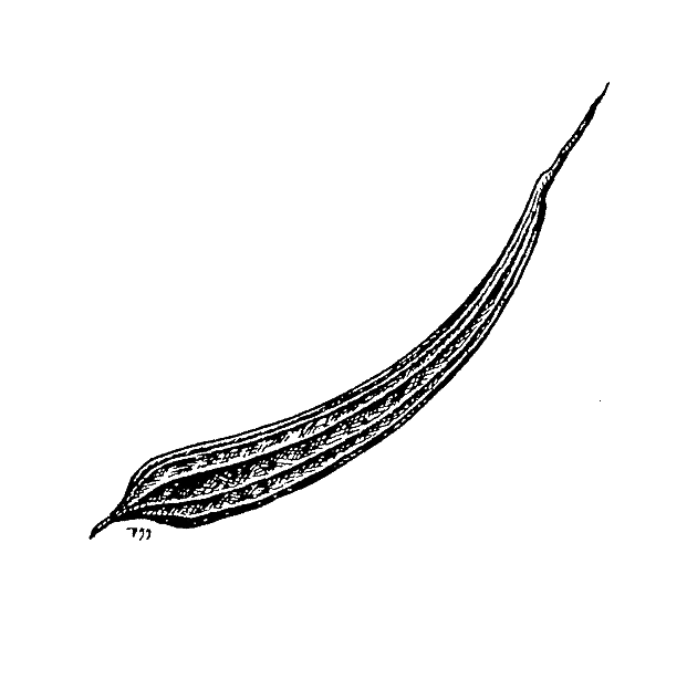 hyotykasviyhdistys202609200113522876647