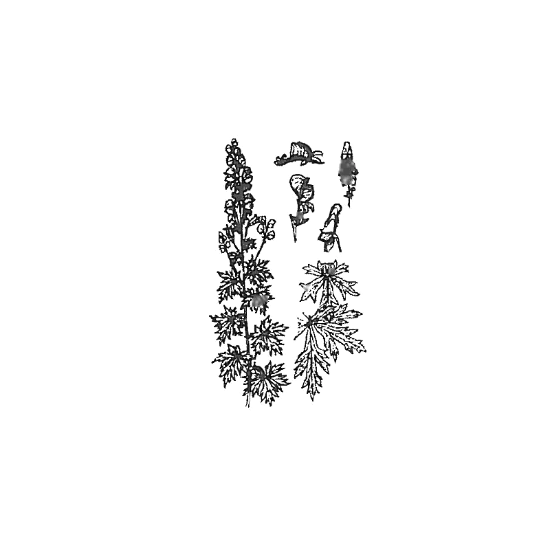 hyotykasviyhdistys202609200116402877088