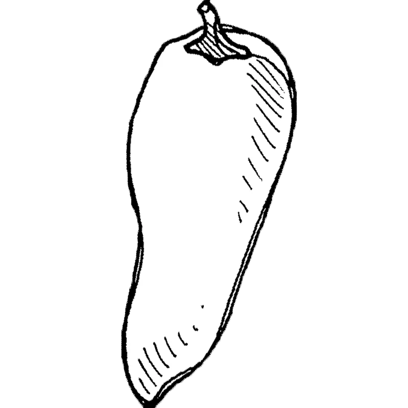 hyotykasviyhdistys202609200118102877338