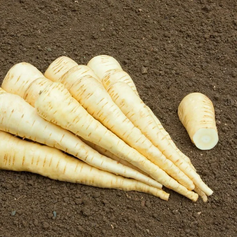 hyotykasviyhdistys202609200120012877664