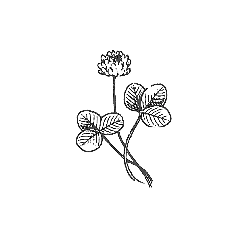 hyotykasviyhdistys202609200121142877877