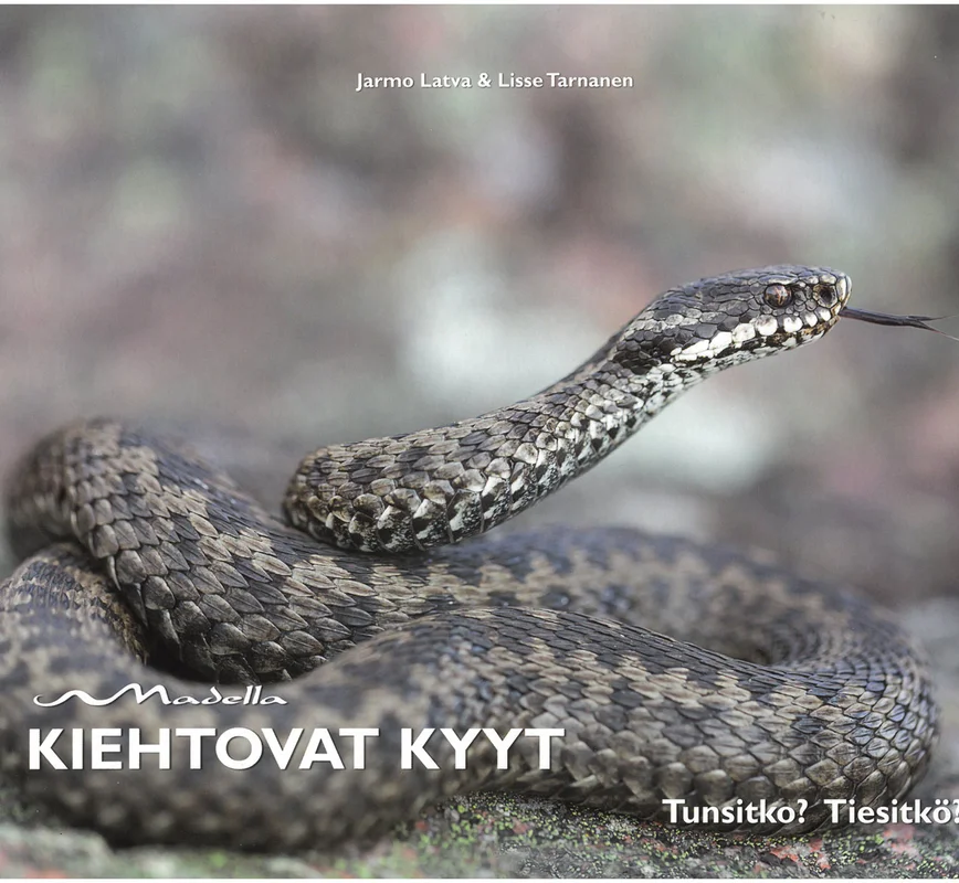 hyotykasviyhdistys202609200127312878938