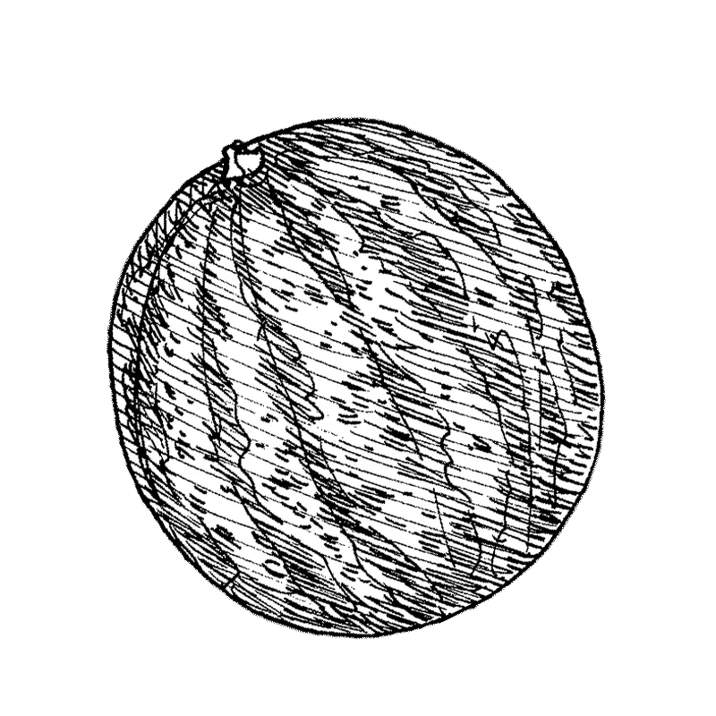 hyotykasviyhdistys202609200135332880221