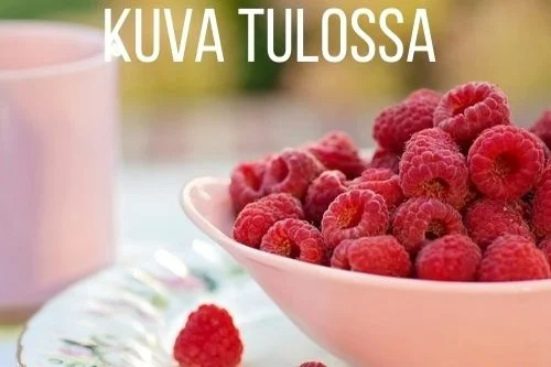 jarvenkyla20261015103056304630