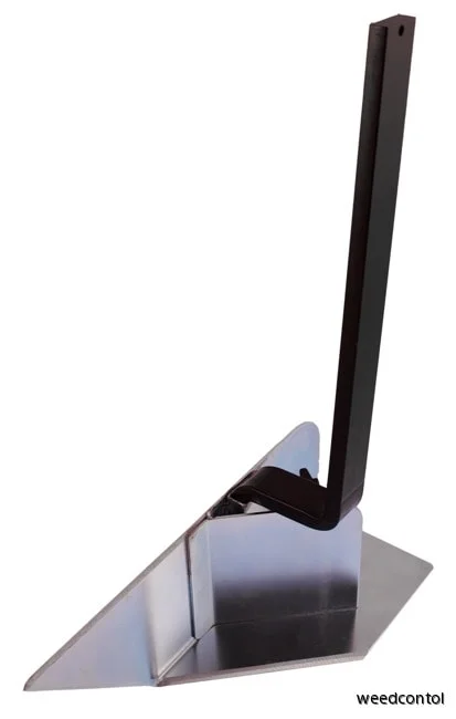 mknorth202609192329152859895