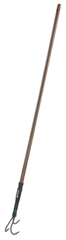 mknorth202609200609322919854