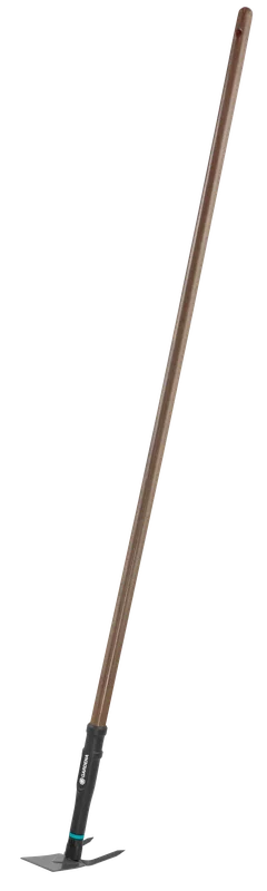 mknorth202609200609572919901