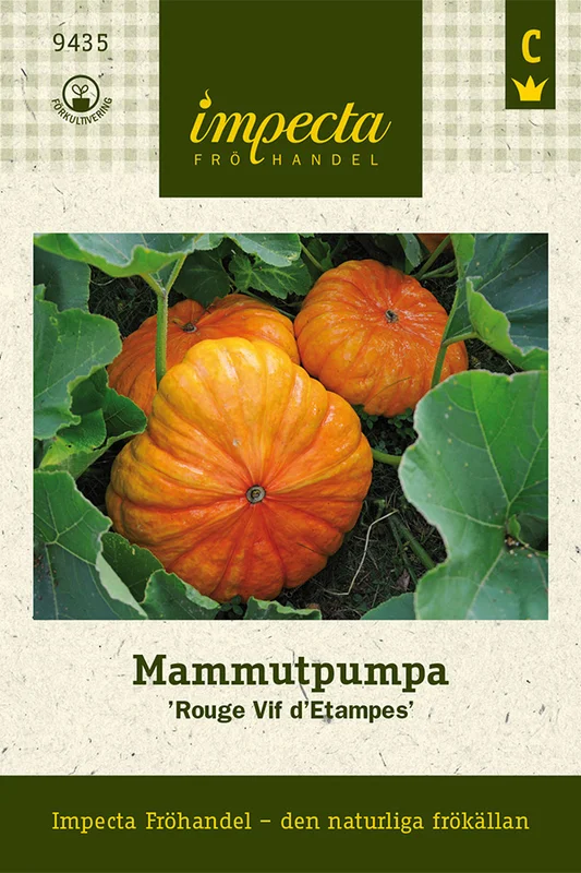 mustilapuutarha20261015103246305548