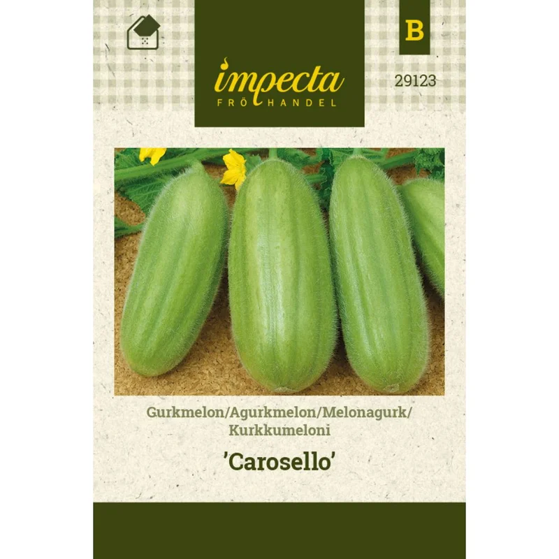 mustilapuutarha20261015104723312156