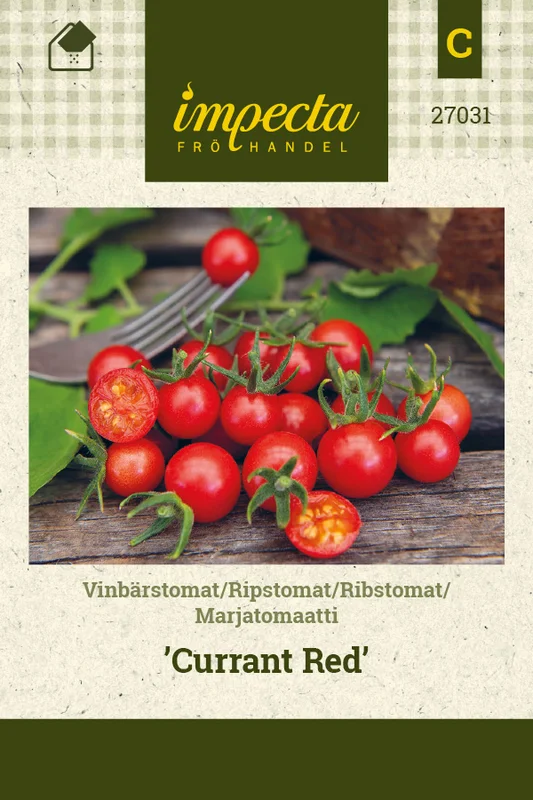 mustilapuutarha20261015104725312164