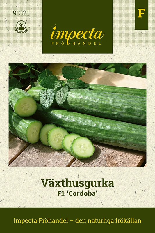 mustilapuutarha20261015104725312168