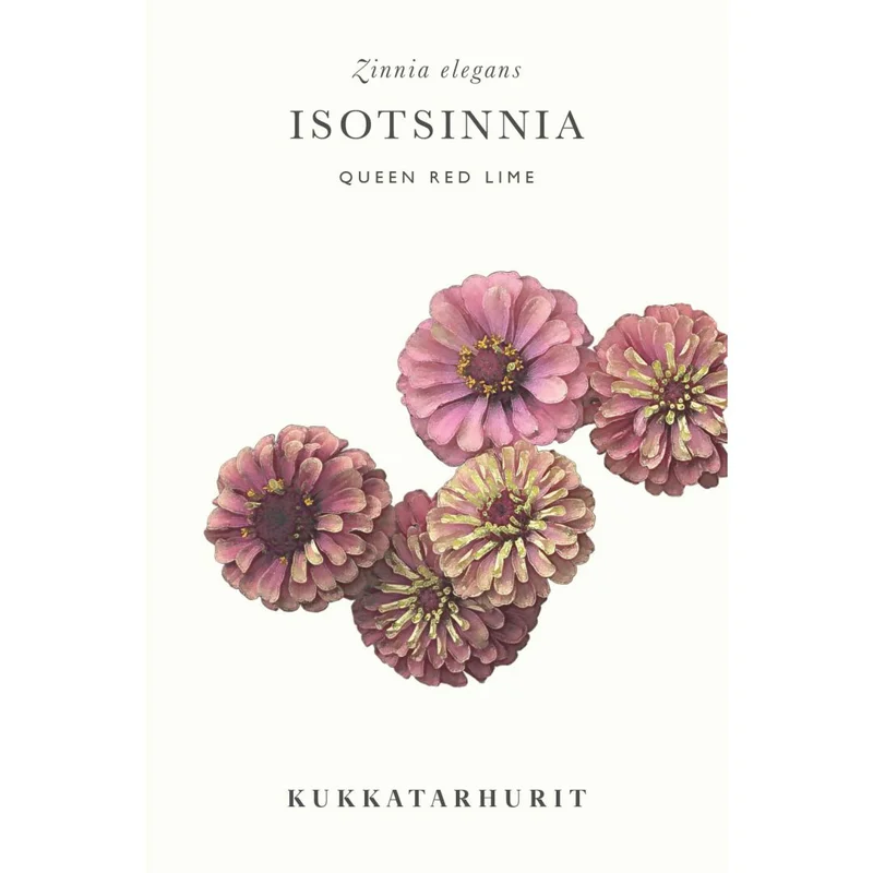 mustilapuutarha20261015104819312492