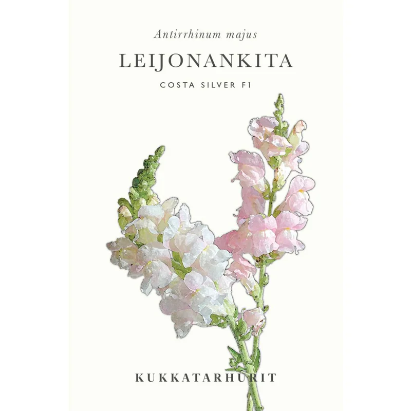 mustilapuutarha20261015104835312595