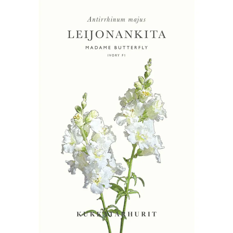 mustilapuutarha20261015104838312613