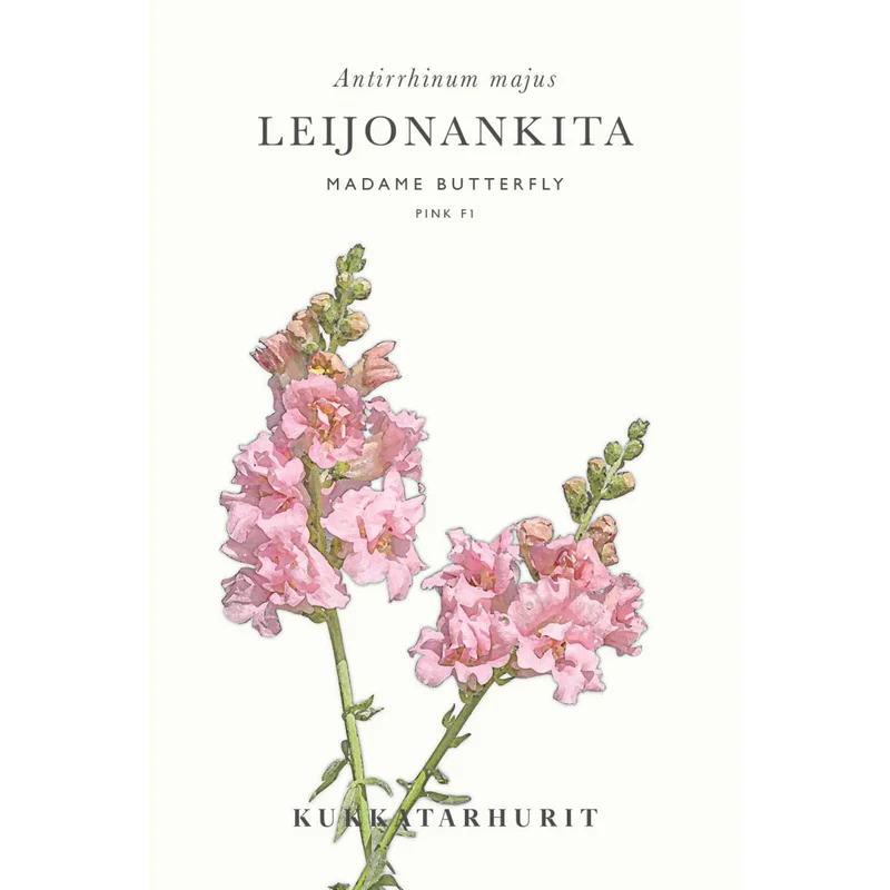 mustilapuutarha20261015104839312620