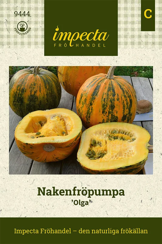 mustilapuutarha20261015105450314500
