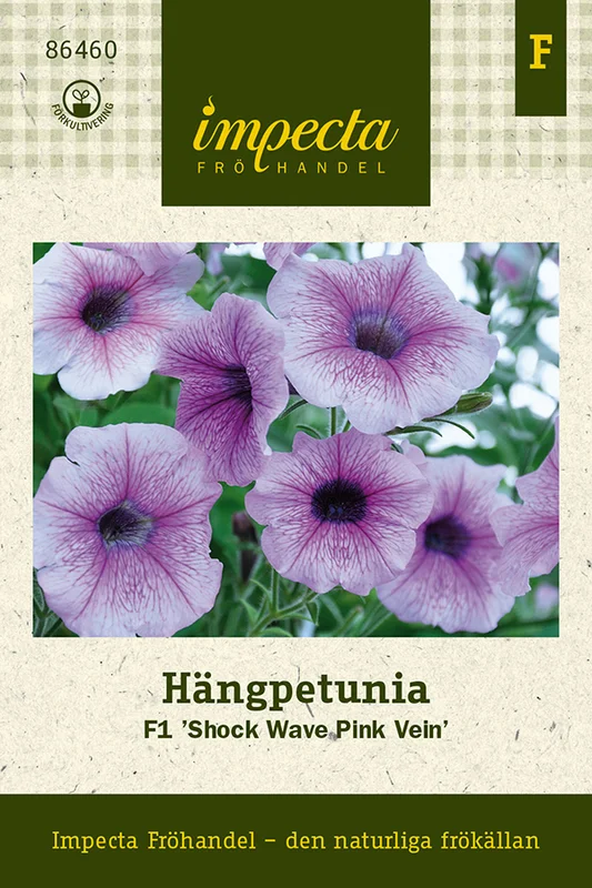 mustilapuutarha20261015105621314894