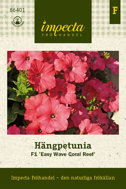 mustilapuutarha20261015105624314911