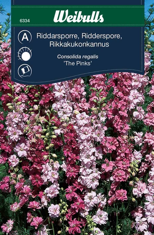 mustilapuutarha20261015105821315491
