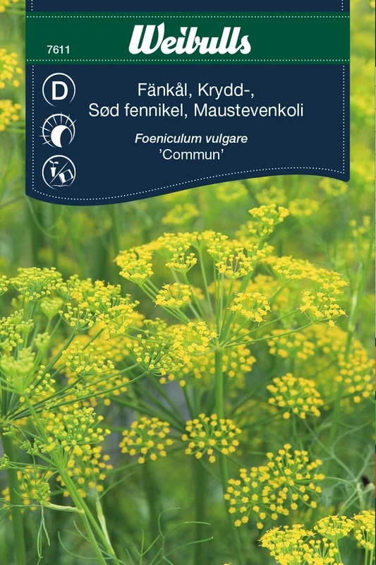 mustilapuutarha20261015105831315536