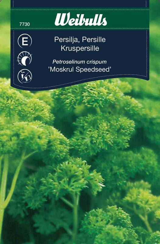 mustilapuutarha20261015105832315542