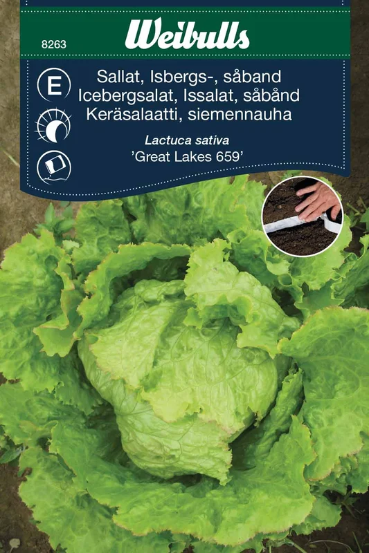 mustilapuutarha20261015105838315570