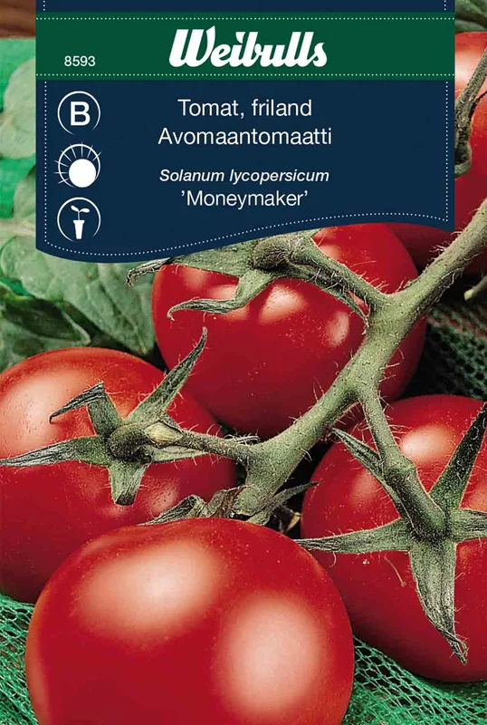 mustilapuutarha20261015105845315601