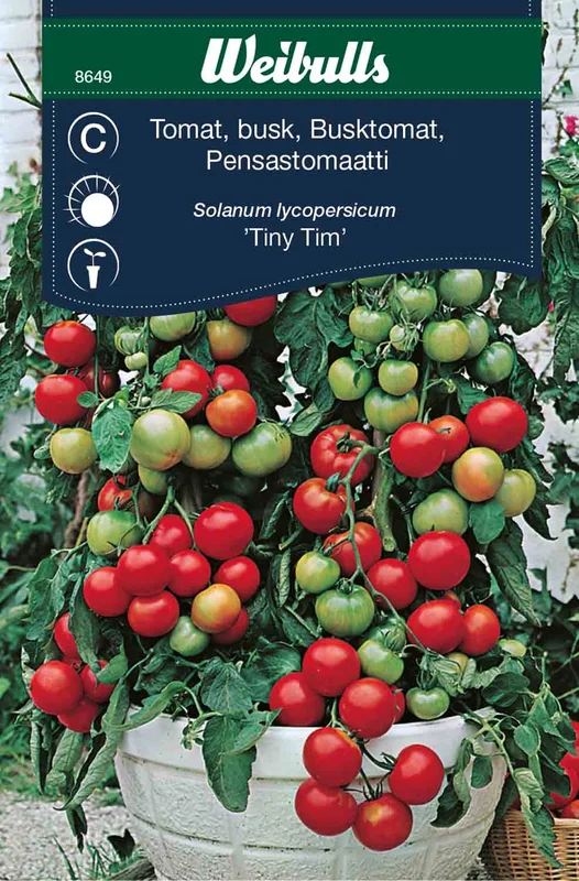 mustilapuutarha20261015105847315608
