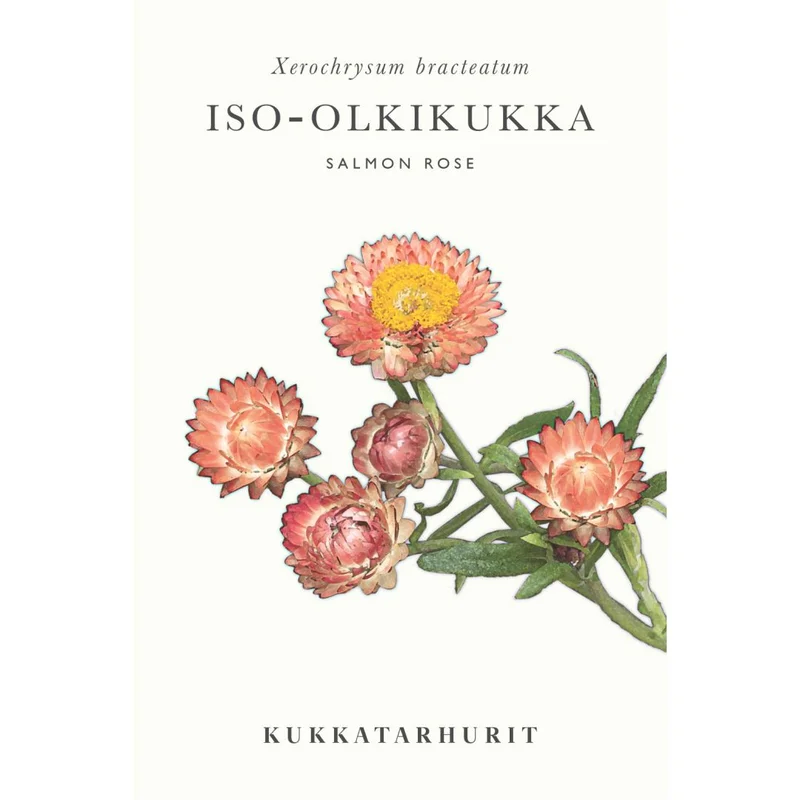 mustilapuutarha20261015110050316133