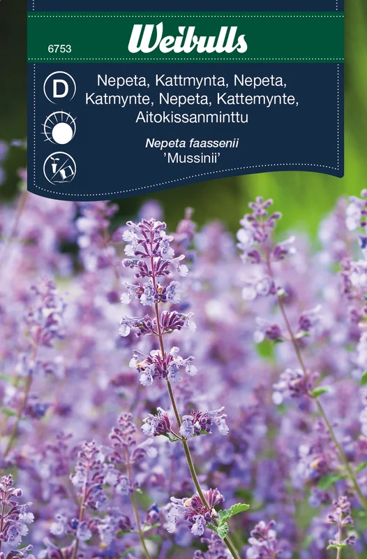 mustilapuutarha20261015110317316758