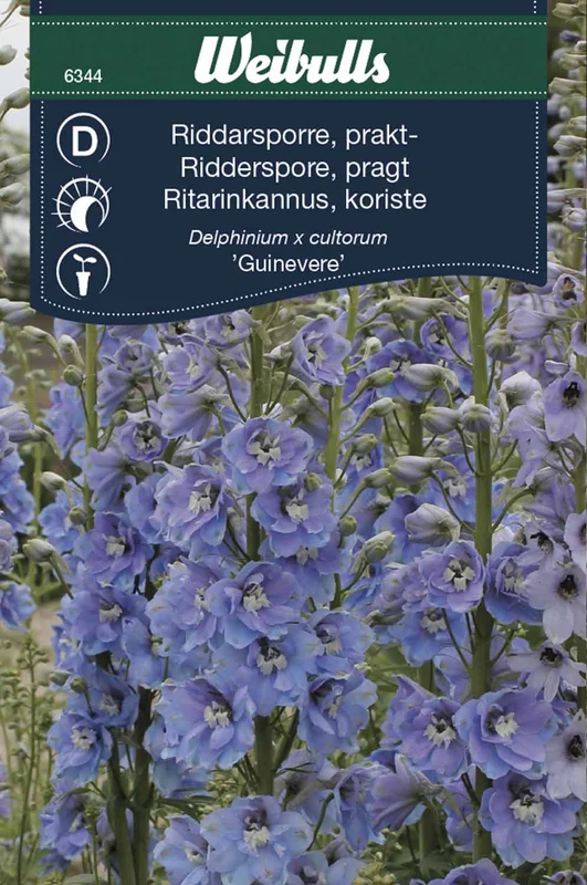 mustilapuutarha20261015110332316843