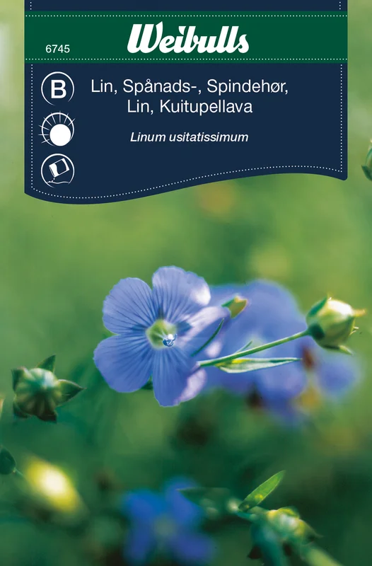 mustilapuutarha20261015110345316901