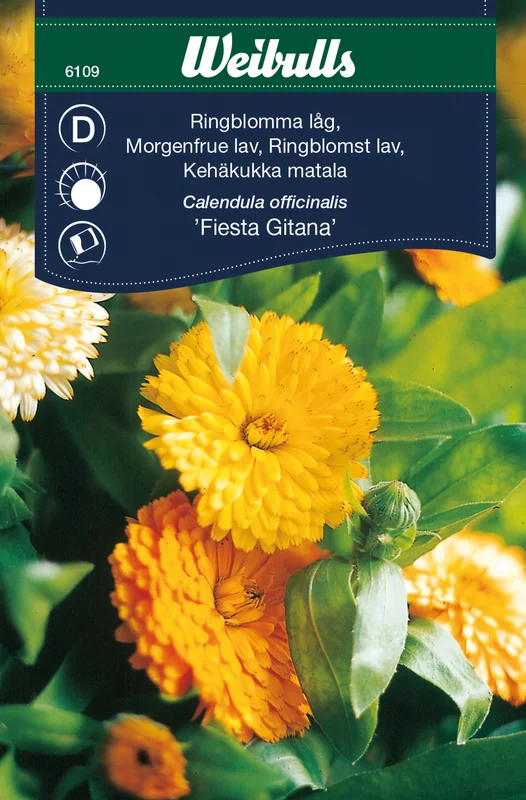 mustilapuutarha20261015110347316911