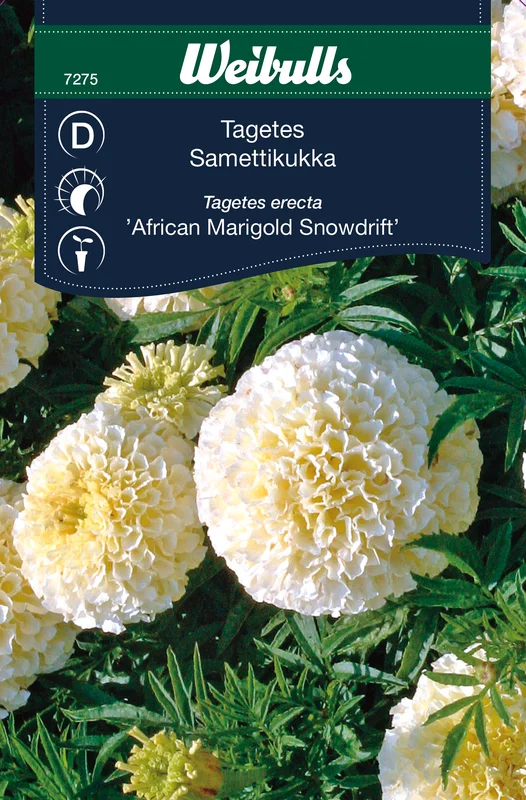 mustilapuutarha20261015110348316916