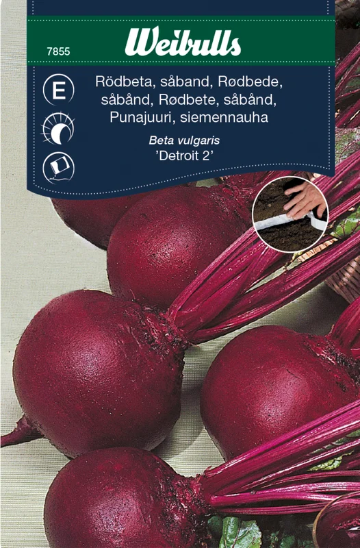 mustilapuutarha20261015110405316990