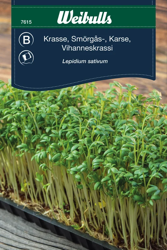 mustilapuutarha20261015110408317001