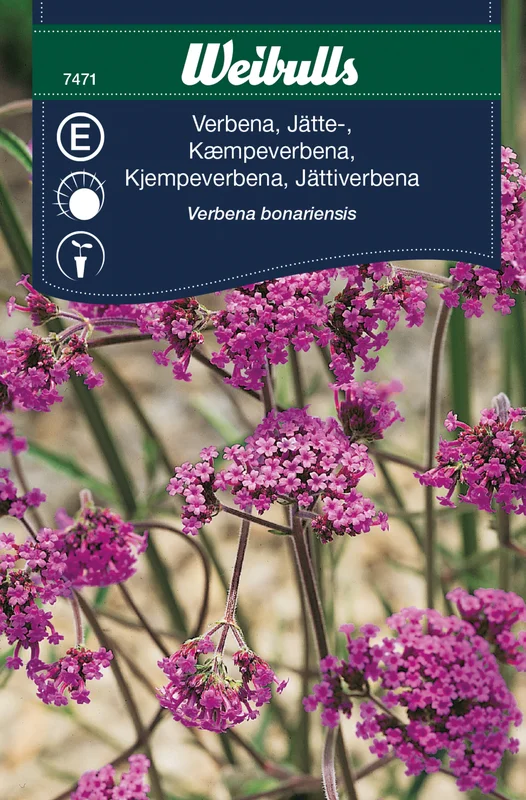 mustilapuutarha20261015110418317045
