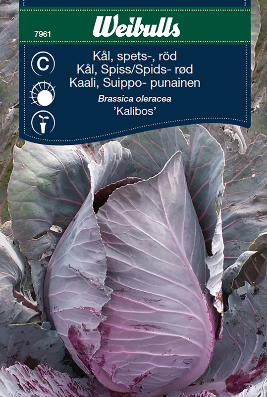 mustilapuutarha20261015110430317098